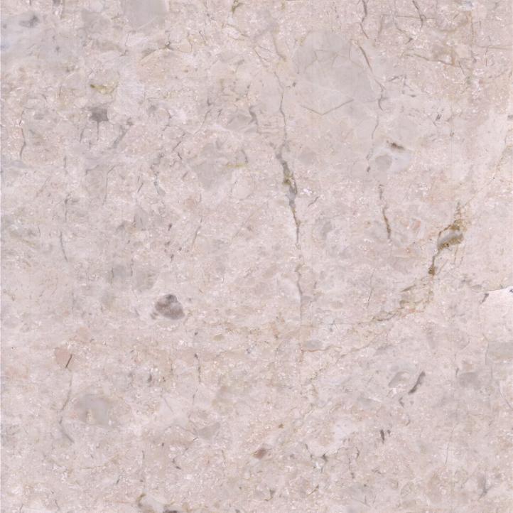Fossiliferous marble for architecture projects