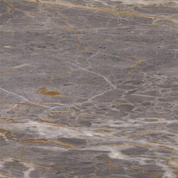 Marble with golden detail construction material