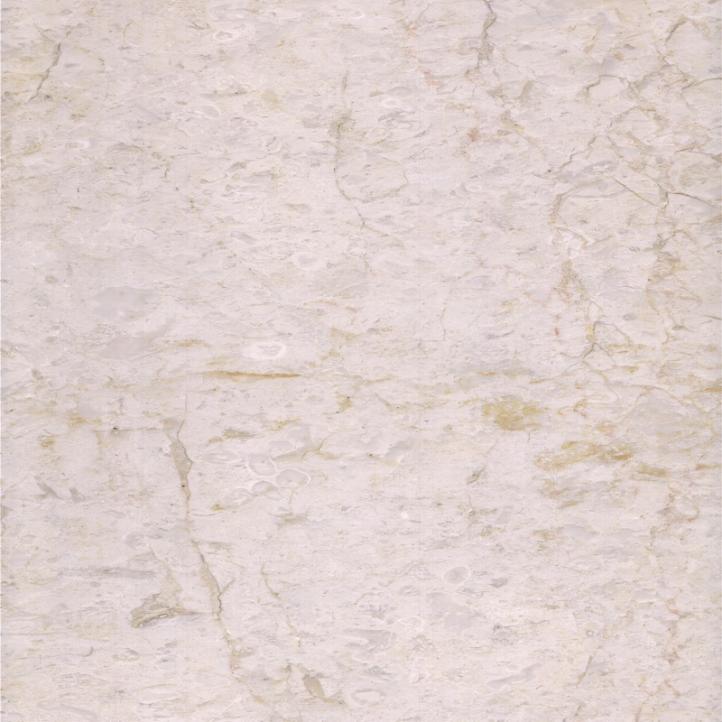 Beige fossiliferous marble stone for indoor application