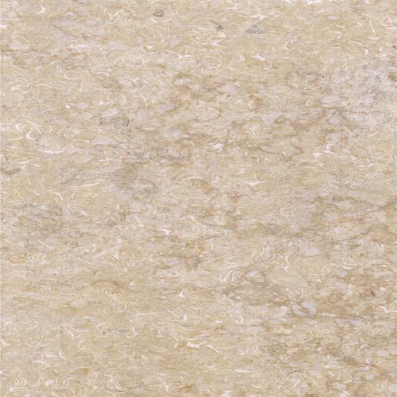 Best beige trendy marble surfaces indoor