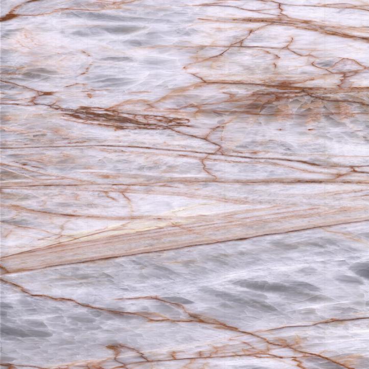 Luxury white veined marble interior design