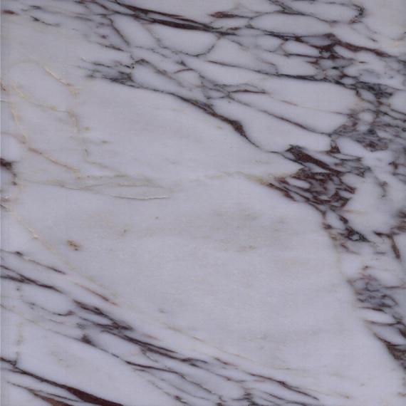Elegat white veined marble for indoor