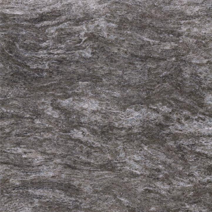 Scottish silver grey (2)